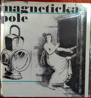 Magnetická pole